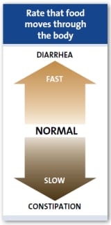 Ātrums, kurā barība pārvietojas caur ķermeni