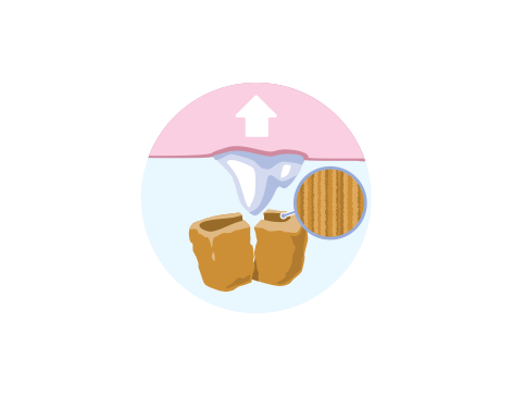 lolojumdzīvnieku barība nokrīt uz zobiem, ilustrācija