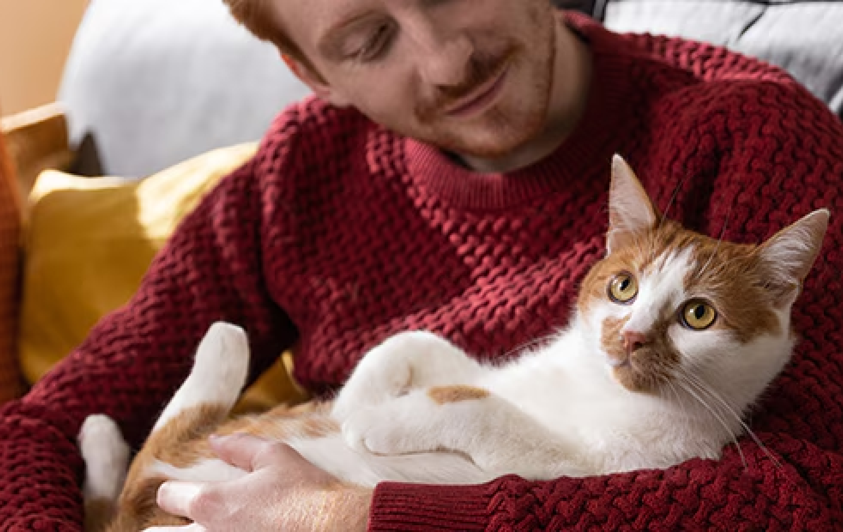 Sieviete oranžā blūzē ar rudu kaķi