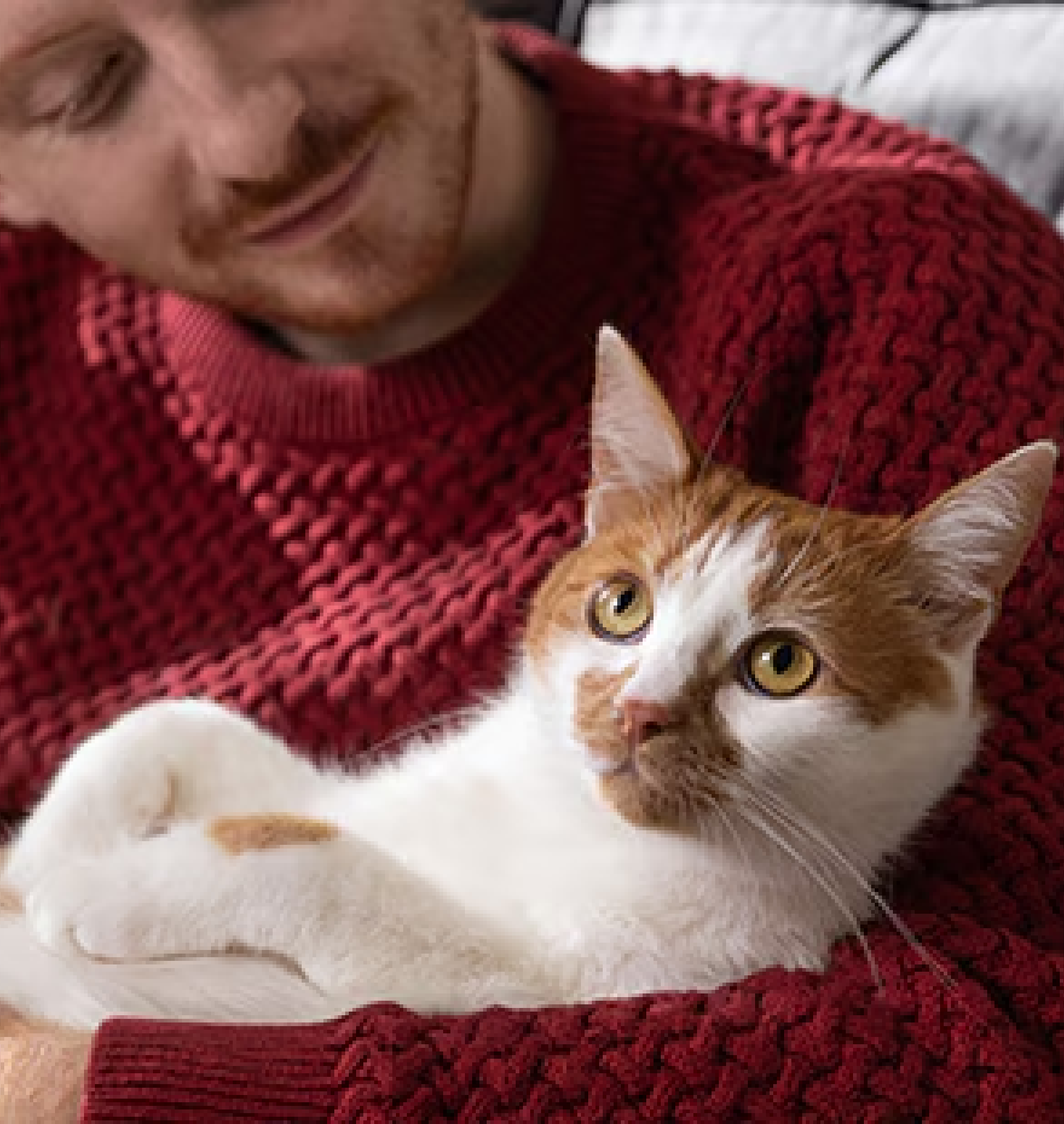 Sieviete oranžā blūzē ar rudu kaķi