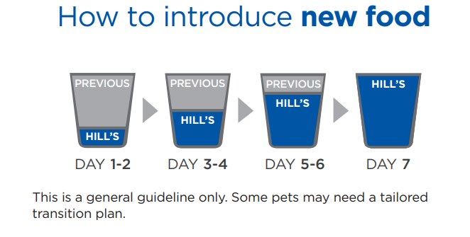 Hill's barošanas pārejas vizuālais attēls