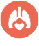 vital organ support, lungs & heart icon