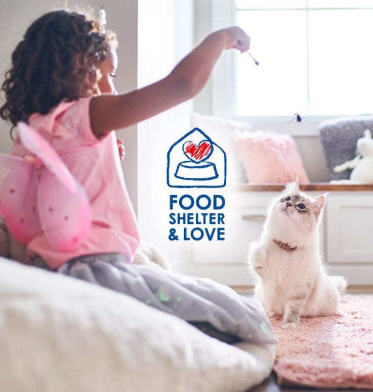 Meitene pasniedz kārumus viņas baltajam kaķim