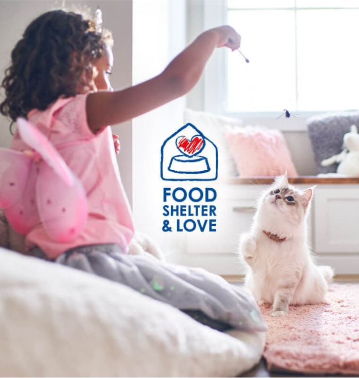 meitene spēlējas ar savu kaķi