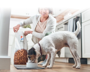 Suns ēd Hill's mājdzīvnieku barību